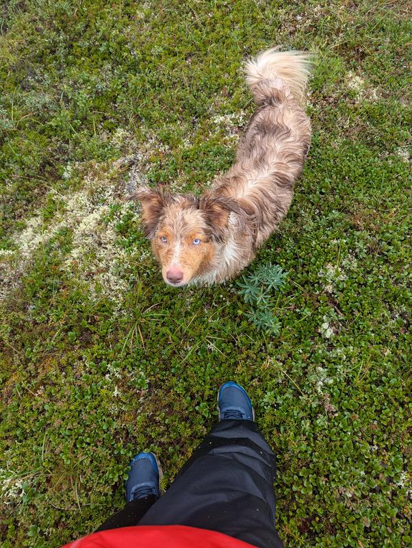 User uploaded product image