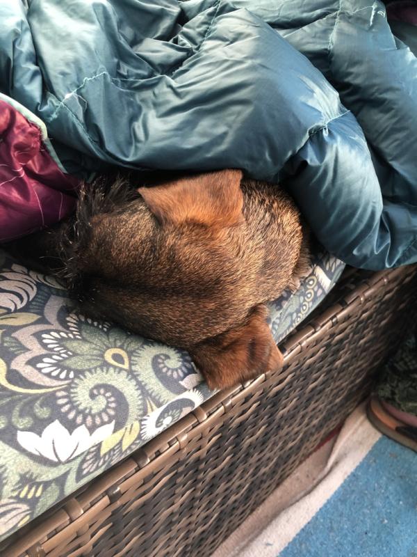 Photo submitted with review of product