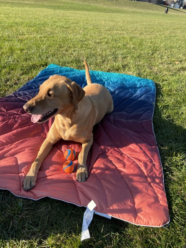 User uploaded product image