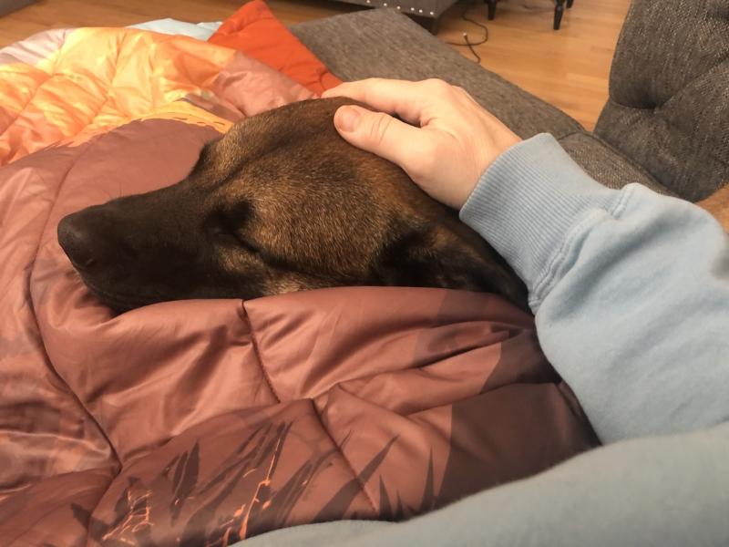 User uploaded product image