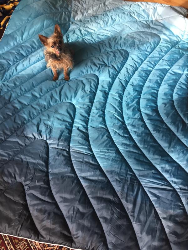 User uploaded product image