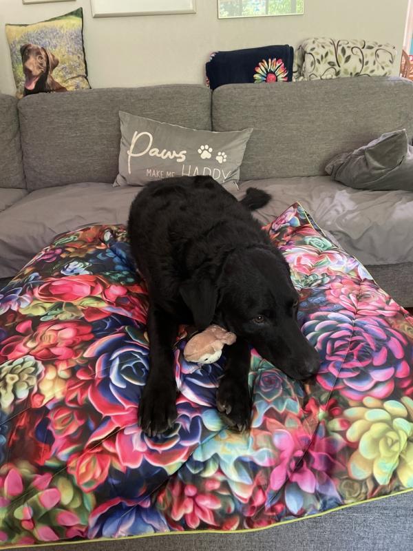 User uploaded product image