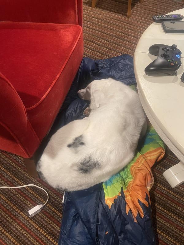 Photo submitted with review of product