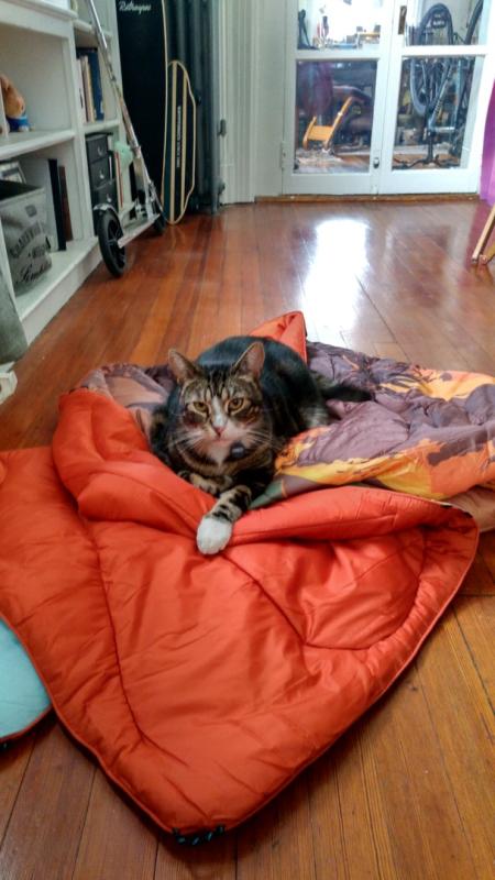 User uploaded product image