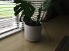 customer uploaded image