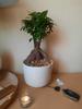 customer uploaded image