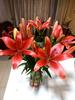 customer uploaded image