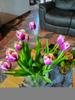 customer uploaded image