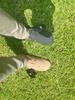 customer uploaded image