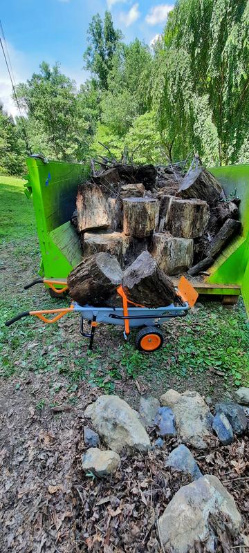 This cart really Worx!