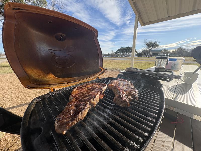 Grilling on the Q1200