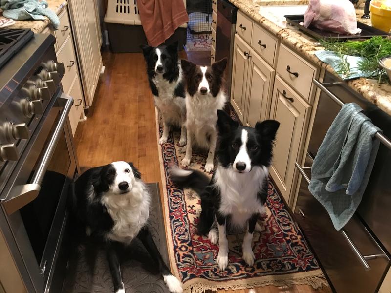 Waiting for Wellness