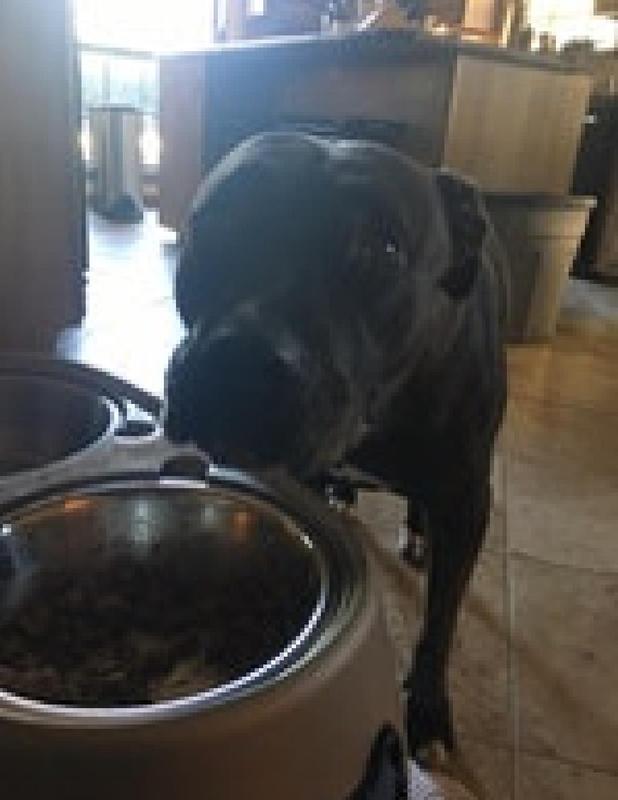 She wouldn't smile because she was eating.