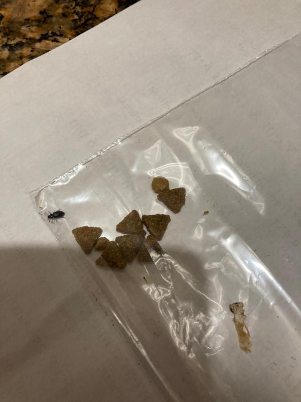 Here’s what they looked like.