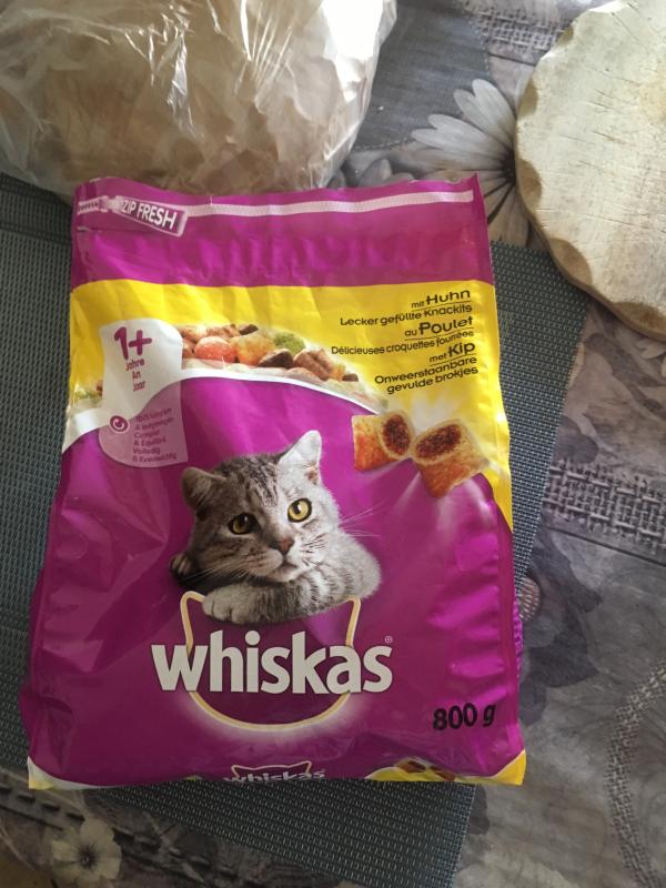 Croquettes Whiskas Au Poulet Junior 1 75 Kg Whiskas Fr