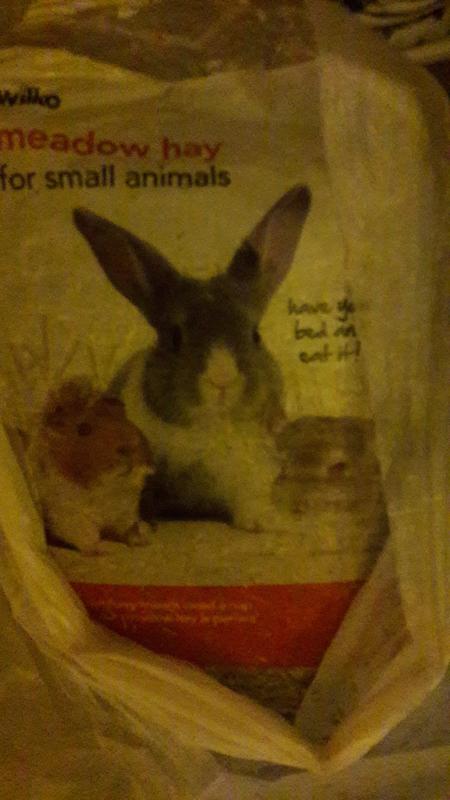 Wilko best sale rabbit hay