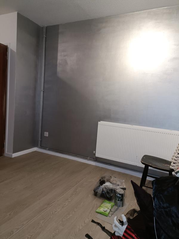 Metallic silver wall deals paint