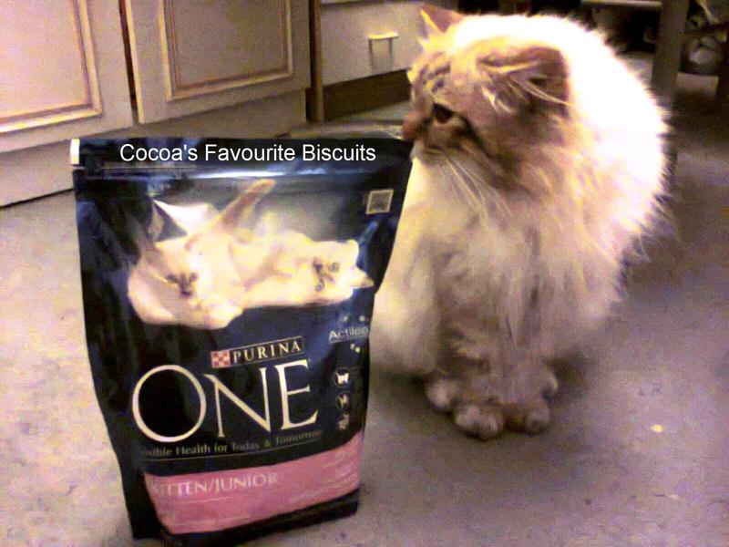 wilko purina one