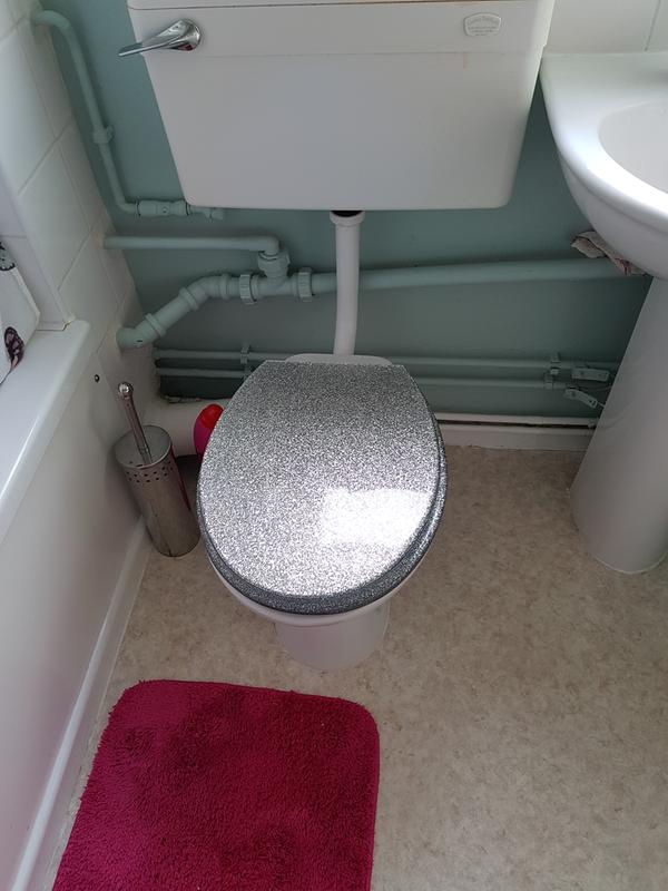 glitter toilet seat