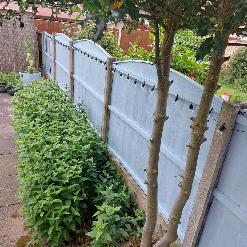 Wilko Garden Fence Paint Fasci Garden