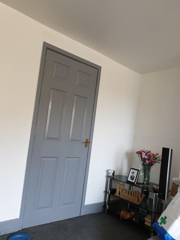 Dulux Quick Drying Natural Slate Gloss Paint 750ml Wilko