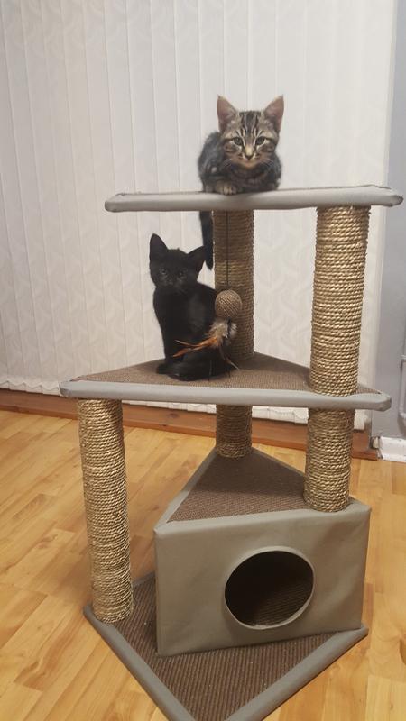 wilko cat tree