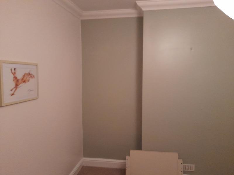 satin white paint wilko