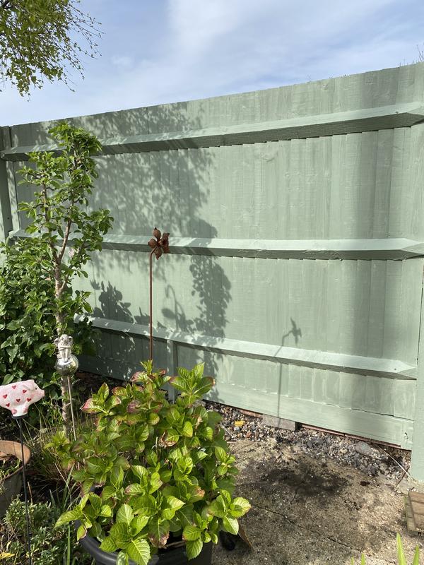 Wilko Garden Fence Paint Willow Fasci Garden