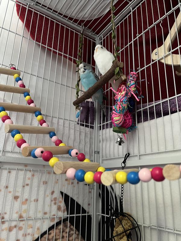 PawHut White Bird Cage with 4 Wheels | Wilko