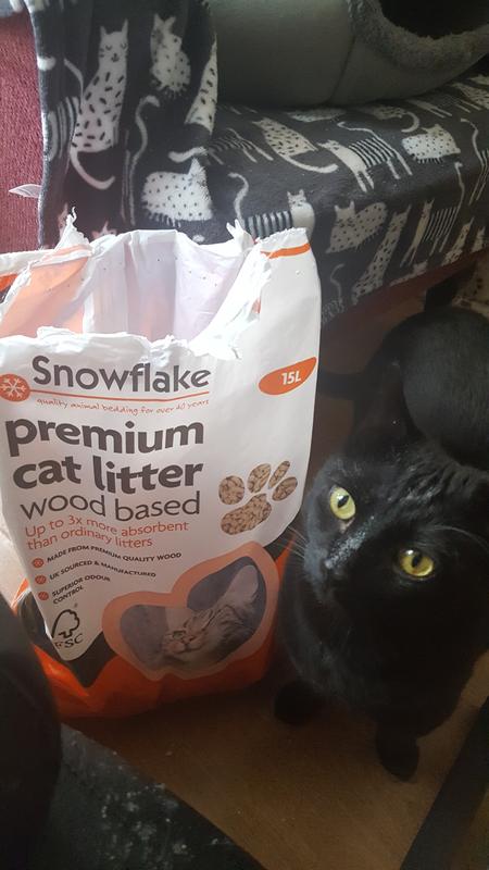 Cat litter wilko online