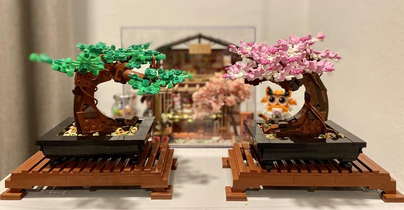 Display Case for LEGO® Bonsai Tree 10281