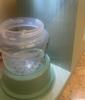 Customer review photo 33