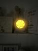 Gro Clock in Action