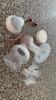 Customer review photo 25