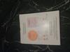 Customer review photo 13