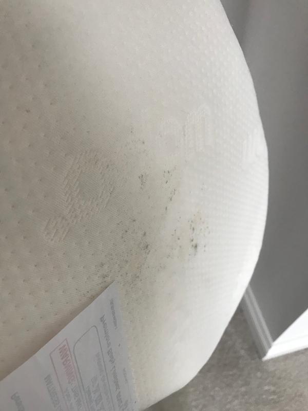 tommee tippee sleepee replacement mattress