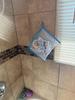 Customer review photo 13