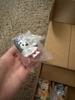 Customer review photo 16