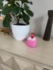 Customer review photo 14