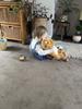 Lola and the Gruffalo child enjoying a story .