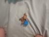 Customer review photo 2