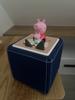 Customer review photo 1