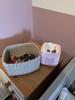 Customer review photo 2