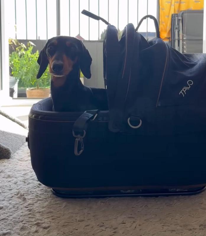 Review Thumbnail Image 0 342586870