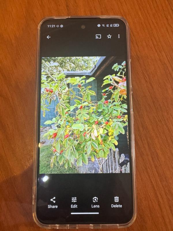 User generated review image 3