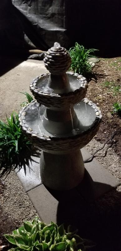 Beautiful addition to my garden