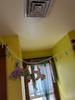 Customer review photo 9