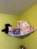 Customer review photo 10