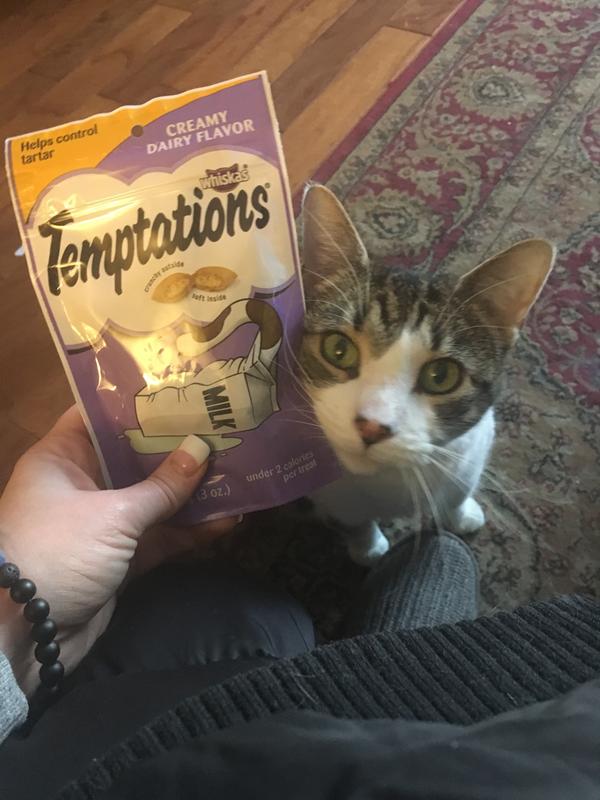 Oh Temptations...how I love thee!