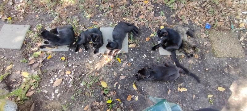 Some of my Temptations 😉